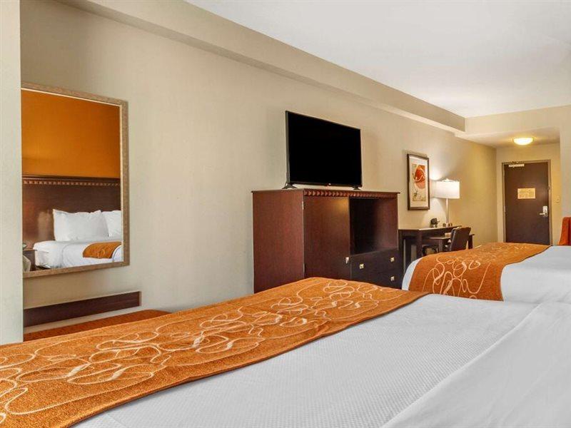 Comfort Suites Knoxville West - Farragut Extérieur photo