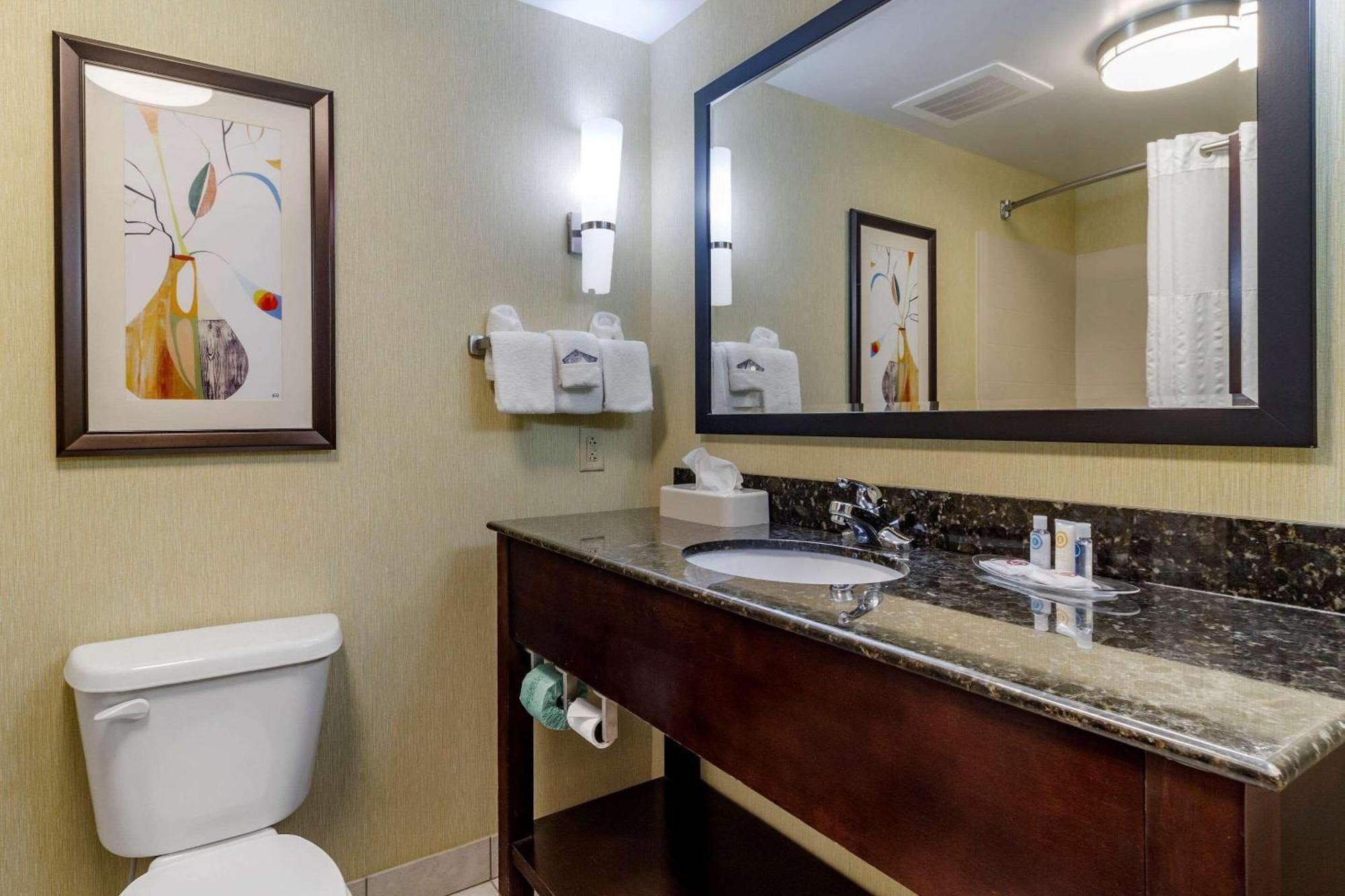 Comfort Suites Knoxville West - Farragut Extérieur photo